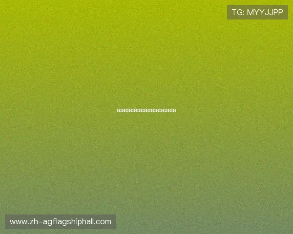 新西兰对比利时比赛城市交通指南及周边配套设施介绍